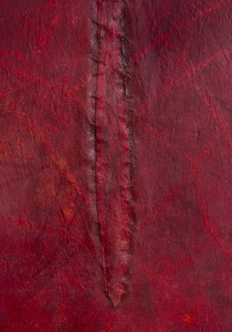 Sentipensante in Red