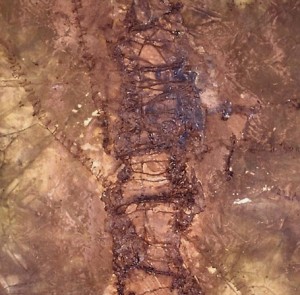 Her Lair: The Topography (back)