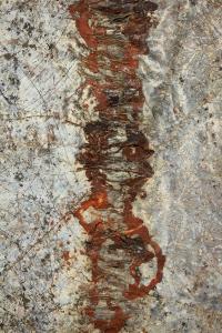 Her Lair: The Topography (front)