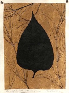 Sanskriti Leaves, Tree of Sadness & Whistling Pine