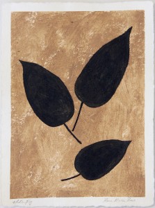 Sanskriti Leaves, White Fig