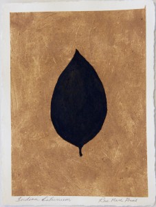 Sanskriti Leaves, Indian Laburnum