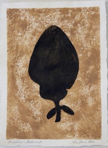 Sanskriti Leaves, Krishna's Buttercup