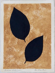 Sanskriti Leaves, Indian Laburnum