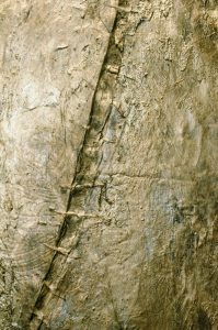 Alchemy & Aphrodite #2 (The Golden Serpent)(detail)