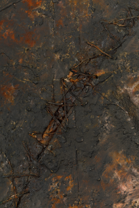 Aphrodite's Feeling Blue (back detail)